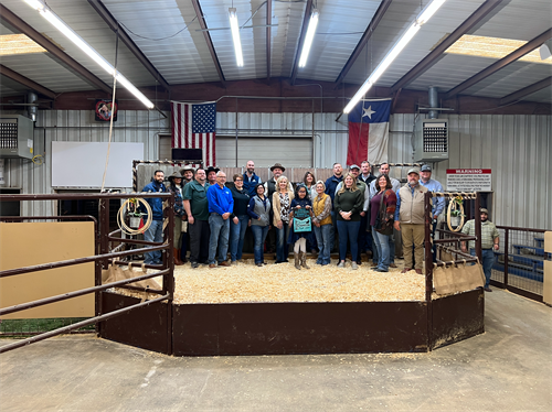 Atascosa County Livestock Show Auction